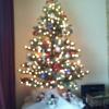 IMG_20121216_134605