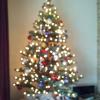 IMG_20121216_134827