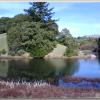 horseshoelake