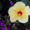 20140904_173650