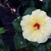 20140904_173657