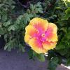 20140904_173730