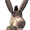 Donkey
