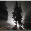 NightParking