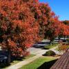 fall
