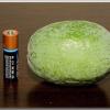 feijoaAA_2