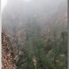 fog