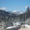 fromthecar3