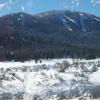 fromthecar_NS