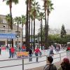 rink_palms