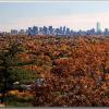 skyline