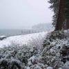 snowlake1