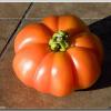 tomato-tomahto