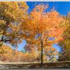 NewEnglandFall2