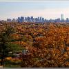 skyline