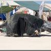 IMG_8386