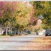 Fall2008-1