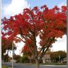 Fall2011-1