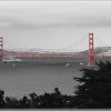 GoldenGate2010bw
