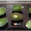 Feijoa2013
