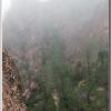 fog