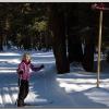 Skier4