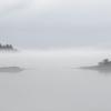 IMG_1007-canvas