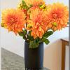Dahlia2