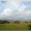 Rainbow2014-1
