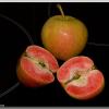 PinkPearlApple