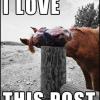ILoveThisPost