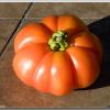 tomato-tomahto