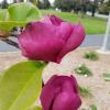 20170319_120722