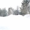 20190220_103258