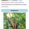 IMG-20191011-WA0000