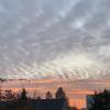 IMG-20191110-WA0002