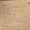 IMG-20191121-WA0002