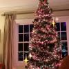 IMG-20191123-WA0002