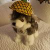 IMG-20200204-WA0009