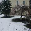IMG-20200418-WA0000