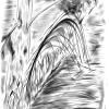 IMG-20201108-WA0005