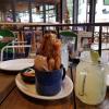 IMG-20191129-WA0000