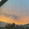 IMG-20200530-WA0006