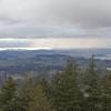 IMG-20200314-WA0006