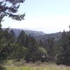 2012-03-08 12.09.19