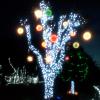 2012-12-08 17.21.23