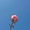 20140323_122024