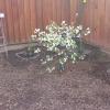 20140328_164737