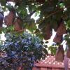 20140819_185123