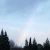 20170202_081022